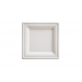 PIATTI PIANI QUADRATI POLPA 20X20 CF50 