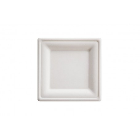 PIATTI PIANI QUADRATI POLPA 20X20 CF50 