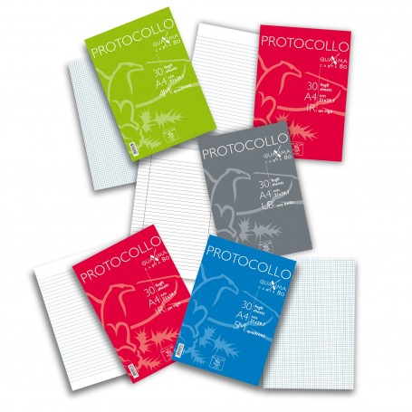 PROTOCOLLO GR. 80 1R 200FF 