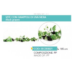 VITE CON GRAPPOLI UVA NERA 185CM 