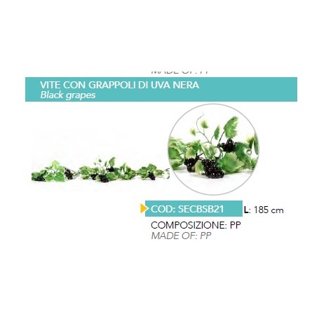 VITE CON GRAPPOLI UVA NERA 185CM 