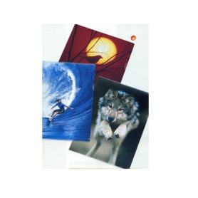 BUSTE A L VARIUS  CF.10 