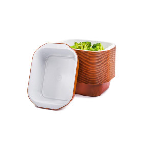 VASCHETTA ALLUMINIO LACCATO 6 PORZIONI SMOOTHWALL AS2220440 CONF. 50