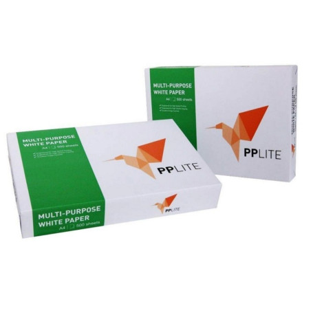 A3 PP LITE GR.80 RISMA 500 FG 