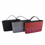 CASSA PORTATILE BLUETOOTH LED 