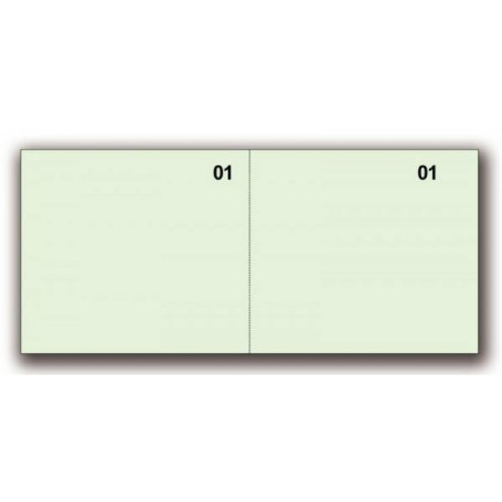 BLOCCO NUMERATO VERDE 100 FF 