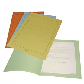 BLASETTI PANNOSA AZZURRO CF.100 