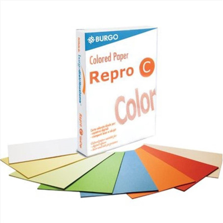 BURGO REPRO COLOR BIANCO GR.100 FG.500 