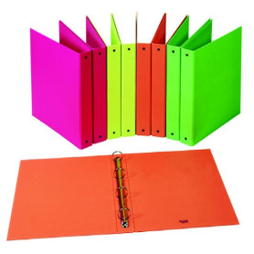 CARTELLINA 4 ANELLI COLORI FLUO' 