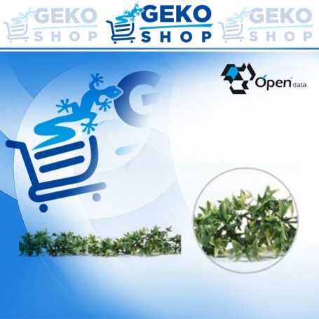 GHIRLANDA EDERA CM 180 