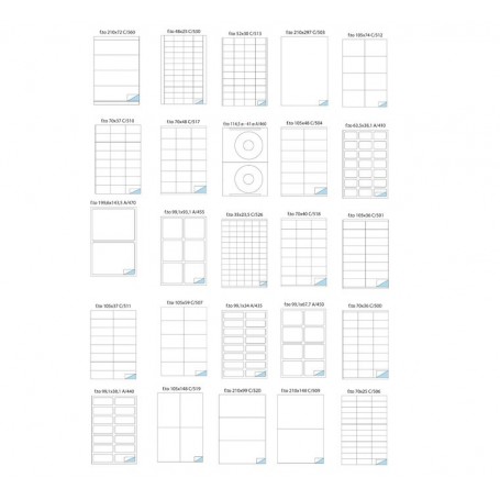 ETICH.FG. 147.3X16.9  FG.100 