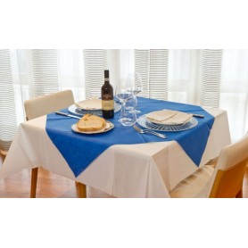 TOVAGLIE TNT 45GR 100X100 PZ.25 AZZURRO BS2457