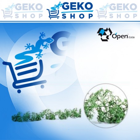 GHIRLANDA PREZZEMOLO CM 90 